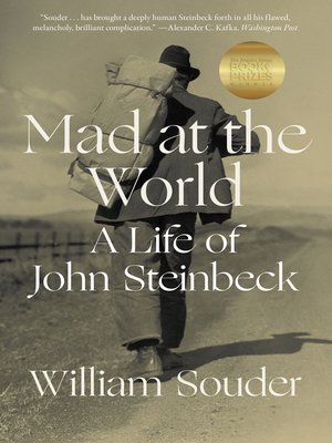 cover image of Mad at the World